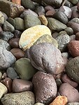 IMG_5552