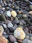 IMG_5553