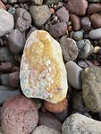 IMG_5554