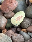 IMG_5559