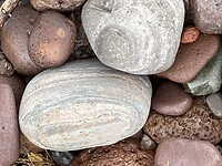 IMG_5561