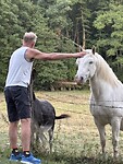 Frits❤️‍🩹paarden