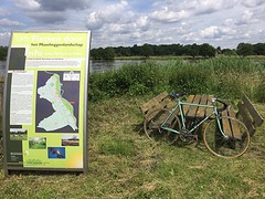 Maasroute Siebengewald 70 km training
