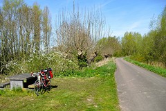 Onderweg naar Buren Gld
