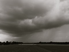 "Before the storm"