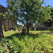 Oma in moestuin