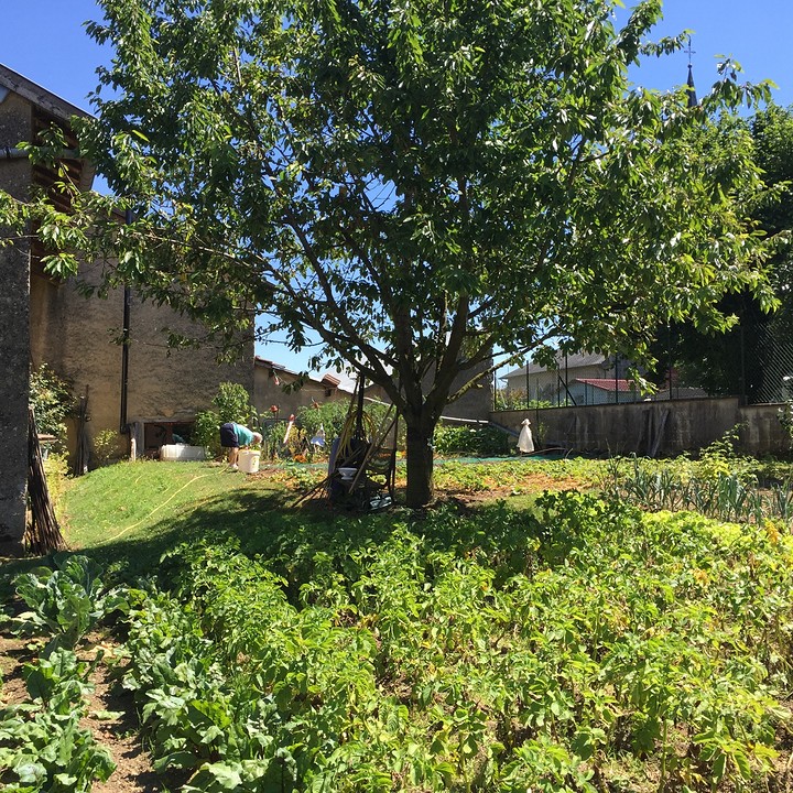 Oma in moestuin