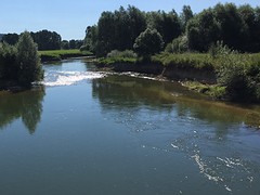 Nog steeds de Maas na 550 km va Mstricht!