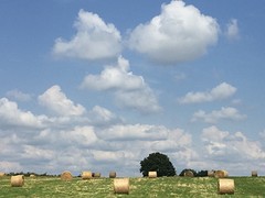 Stribbelen klaar om optie halen