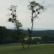 Landschap St Loupe sur Semousse