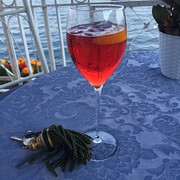 Campari ijs met sinaasappelschijfje en mineraalwater
