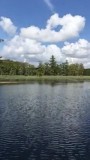 Bayou