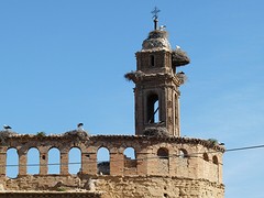 Ooievaars op ruine in Caspe