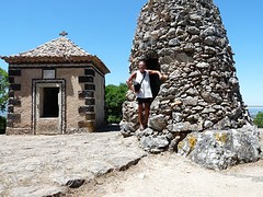 Bos bij Bucaco