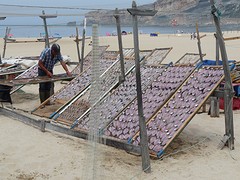 De gedroogde vis in Nazaré