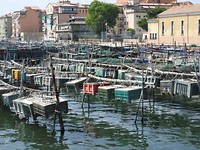Chioggia