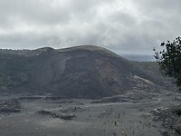 IMG_5453