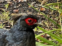 IMG_5381