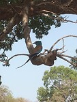 IMG_2271