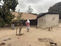 IMG_6981