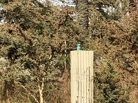 IMG_9250