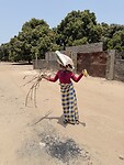 IMG_9306