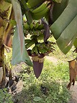 IMG_9290