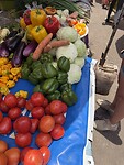 IMG_9385