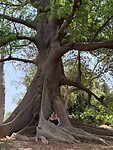 IMG_9373