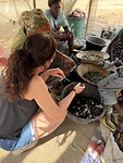 IMG_9331