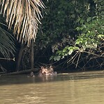 IMG_9547