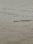 IMG_9470