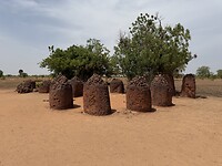 IMG_9464