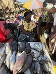 IMG_9712