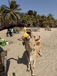 IMG_9692