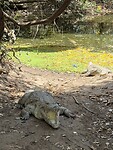 IMG_9758