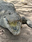 IMG_9752