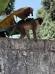 IMG_9732