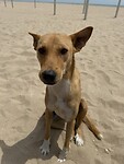 IMG_9879