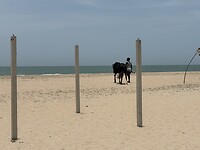 IMG_9877