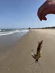 IMG_9853