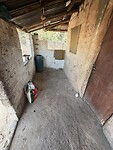 IMG_9894
