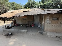 IMG_9893