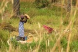 IMG_4034 (Kopie)