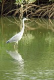 IMG_4048 (Kopie)