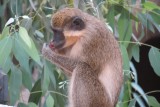 IMG_4846 (Kopie)