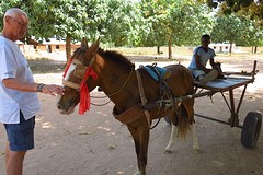 IMG_5002 (Kopie)