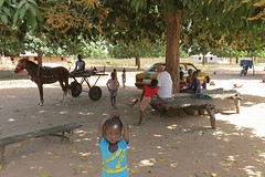 IMG_5007 (Kopie)