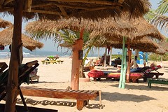 IMG_5517 (Kopie)