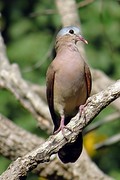 IMG_5556 (Kopie)